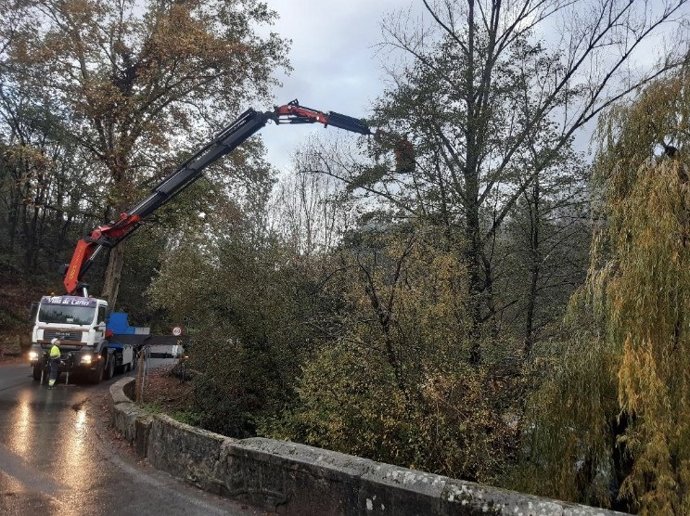 La CHC retira un árbol de grandes dimensiones del río Besaya en Molledo