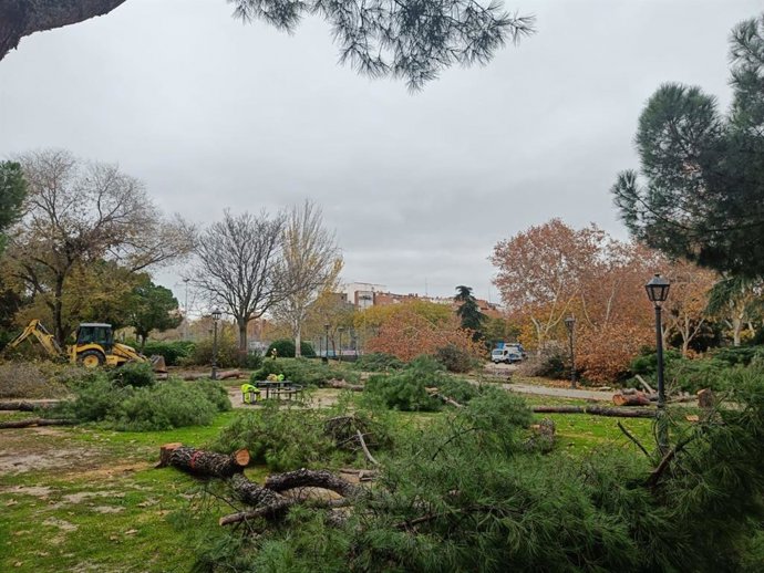 Tala de árboles por la ampliación de la Línea 11 de Metro de Madrid