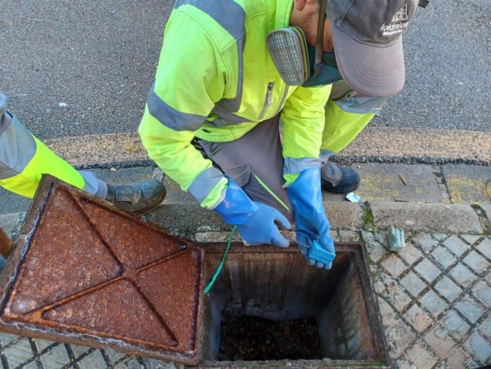 Trabajos de desinfección y prevención de plagas.