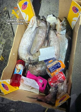 Imagen de efectos intervenidos por la GUardia Civil al detenido