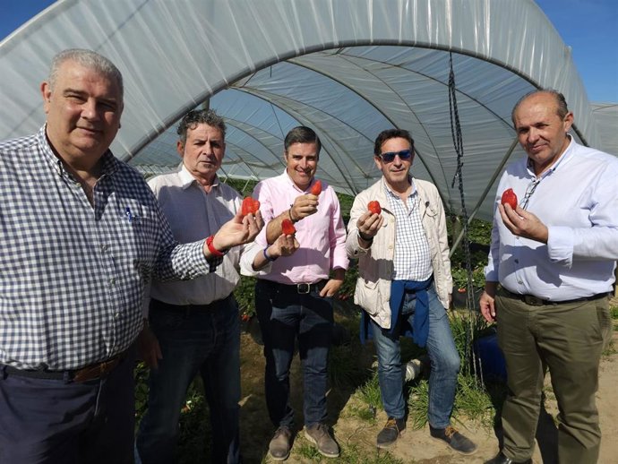Archivo - El secretario general de UPA-Huelva, Manuel Piedra (primero por la derecha), junto al secretario general de UPA Andalucía, Cristóbal Cano, en su visita a Huelva.