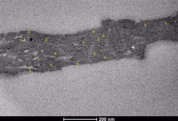 Imagen de TEM de un espécimen de Navifusa Majensis de la Formación McDermott (Tawallah Group, Australia).