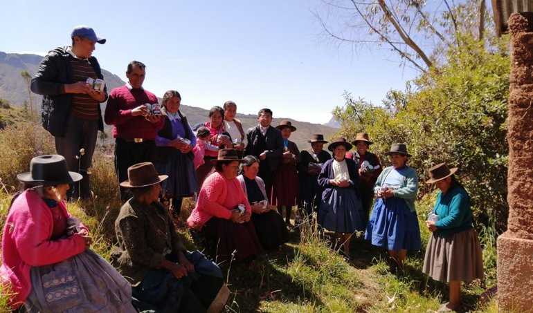 Cooperación y Desarrollo