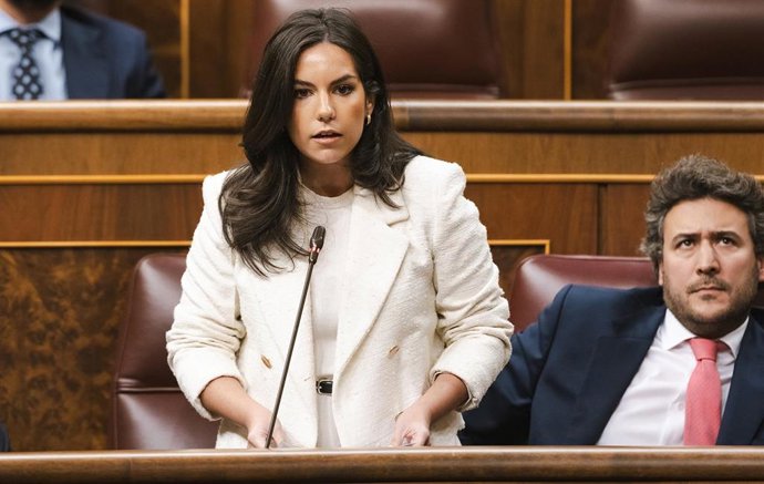 La portavoz de Vox en el Congreso, Pepa Millán.