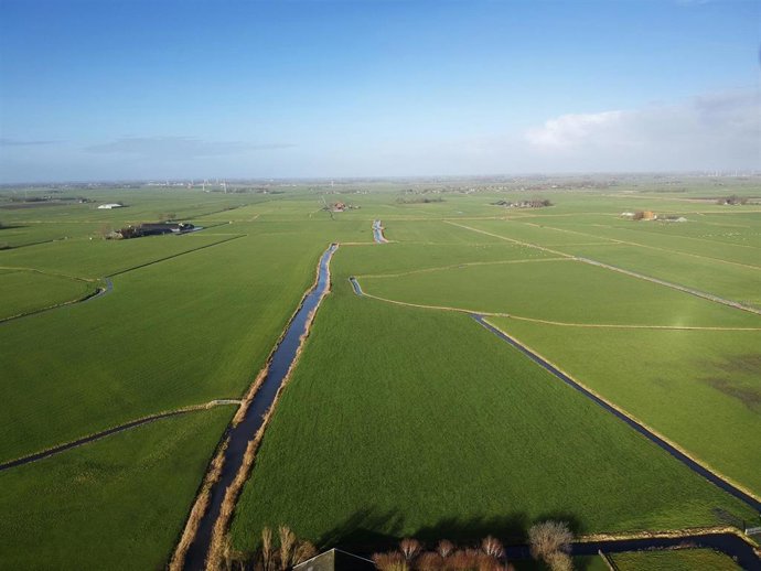 Archivo - El Gobierno, a través del Ministerio de Agricultura, Pesca y Alimentación y el Fondo Español de Garantía Agraria, ha coordinado el pago de cerca de 1.000 millones de euros a Andalucía de las ayudas directas de la Política Agraria Común de la c