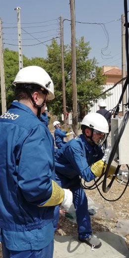 Endesa colabora con once institutos andaluces de FP Dual para favorecer el empleo de 134 alumnos en el pujante sector de las redes de distribución.