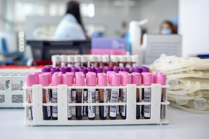 Archivo - Tubos de sangre en un laboratorio.