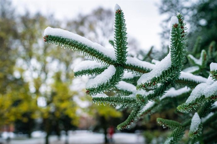 Archivo - Una nevada cae en el centro de Vitoria
