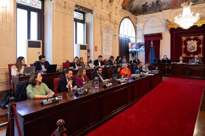 Pleno del Ayuntamiento de Málaga, archivo 