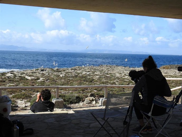 Más de 1,2 millones de aves contabilizadas el año pasado durante el Programa Migres