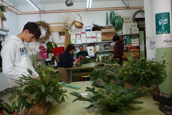 240107 Np Proyectos Específicos Fp Dual