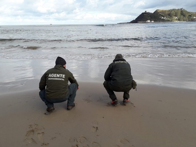 Agentes Medioambientales del Principado realizando una vigilancia en la playa de Ribadesella por la llegada de microplásticos.