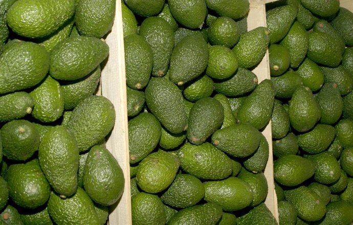 Aguacates