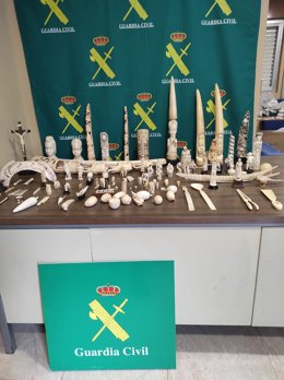 Investigado un vecino de Pontevedra por tráfico de tallas de márfil de elefantes, orcas e hipopótamos