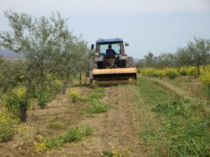 El Ifapa ofrece en Córdoba nueve cursos de formación especializada en la PAC.