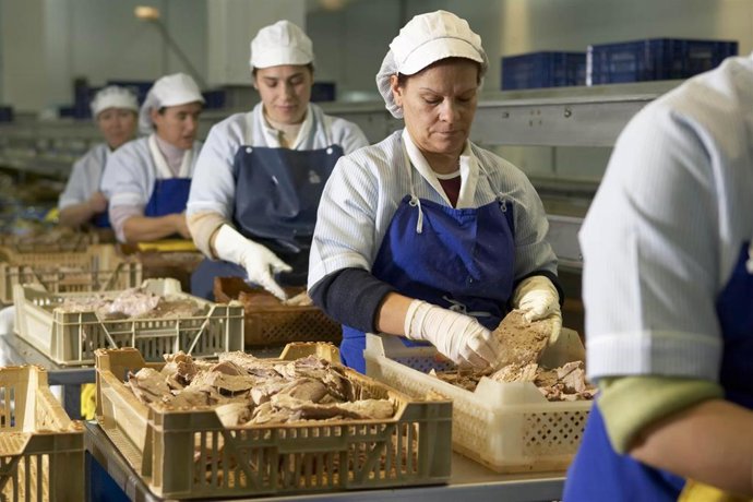 Archivo - Empresa de transformación de productos pesqueros. Imagen de archivo.