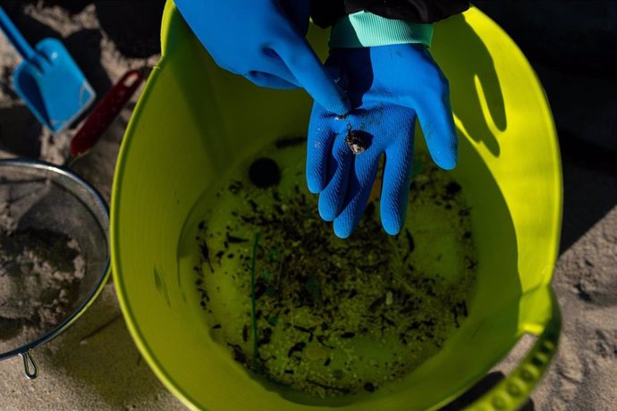 Voluntarios hacen una recogida de pellets de la arena, Galicia, a 7 de enero de 2024, en A Coruña, Galicia (España). Grandes cantidades de pellets de plásticos llevan apareciendo, desde el 13 de diciembre en las Rías Baixas y en la ría de Muros de Noia 