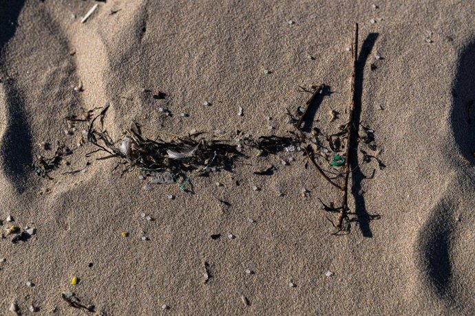 Pellets  en la arena de una playa de Galicia