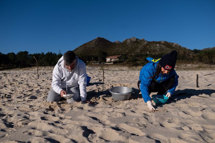 Voluntarios hacen una recogida de pellets de la arena, Galicia, a 7 de enero de 2024, en A Coruña, Galicia (España). Grandes cantidades de pellets de plásticos llevan apareciendo, desde el 13 de diciembre en las Rías Baixas y en la ría de Muros de Noia 