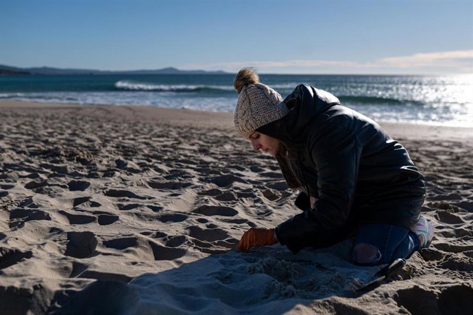 Voluntarios hacen una recogida de pellets de la arena, Galicia, a 7 de enero de 2024, en A Coruña, Galicia (España). Grandes cantidades de pellets de plásticos llevan apareciendo, desde el 13 de diciembre en las Rías Baixas y en la ría de Muros de Noia 