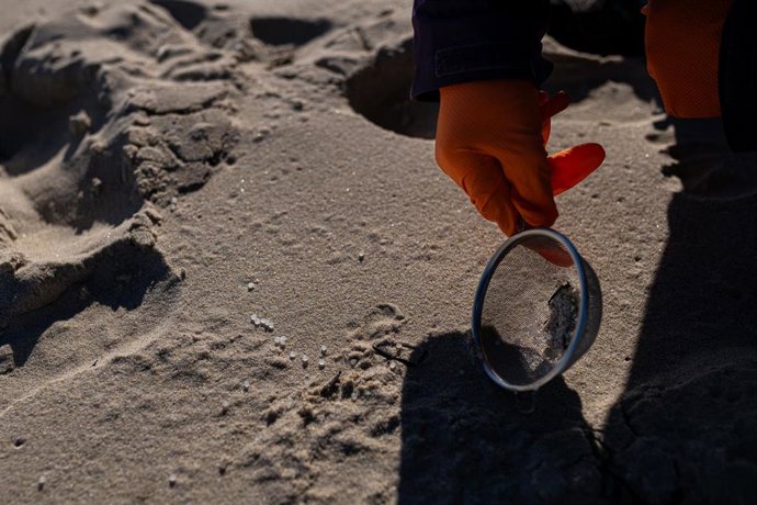 Voluntarios hacen una recogida de pellets de la arena, Galicia, a 7 de enero de 2024, en A Coruña, Galicia (España).