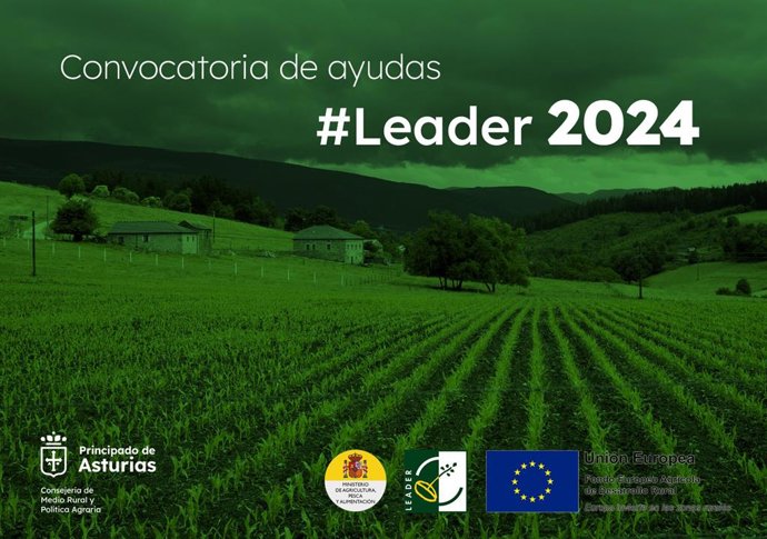Infografía Leader 2024