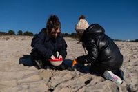 Voluntarios vuelven a limpiar las playas gallegas afectadas por el vertido de pellets de plástico