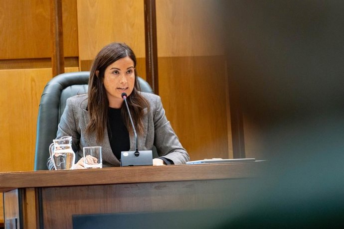 La consejera de Meido Ambiente y Movilidad, Tatiana Gaudes.