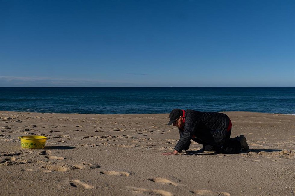 Voluntarios hacen una recogida de pellets de la arena, Galicia, a 7 de enero de 2024, en A Coruña, Galicia (España). Grandes cantidades de pellets de plásticos llevan apareciendo, desde el 13 de diciembre en las Rías Baixas y en la ría de Muros de Noia
