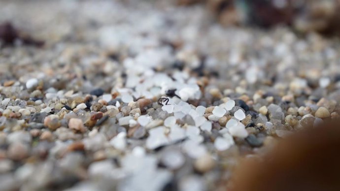 Archivo - Pellets de plástico en la playa de Sabón, a 9 de enero de 2024, en A Coruña, Galicia (España).