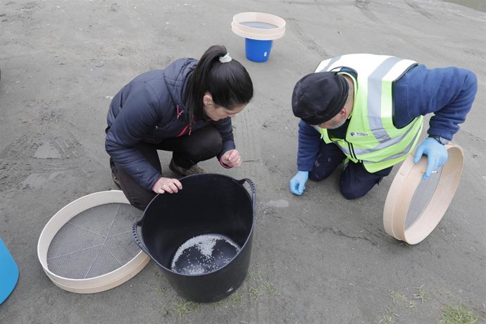 Archivo - Operarios de TRAGSA recogen pellets de plástico, en la playa Otur, a 9 de enero de 2024, en Valdés, Asturias (España). El Principado de Asturias ha activado el nivel dos de emergencia por el vertido de pellets de plástico en las playas de la r