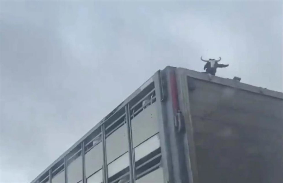 Captura del vídeo viralizado en redes.