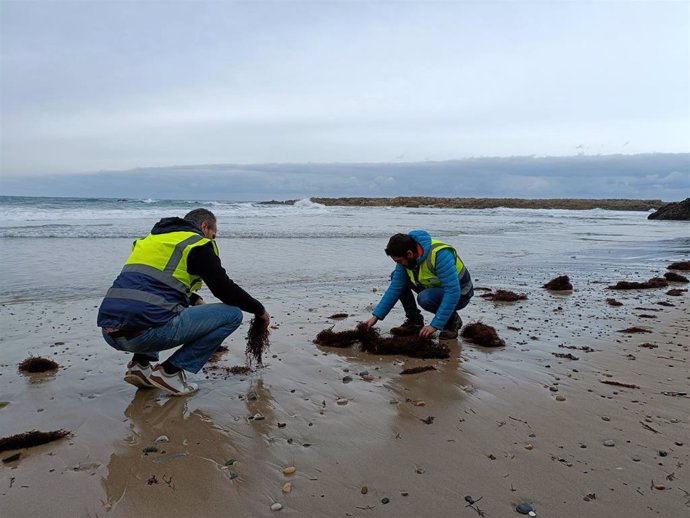 Técnicos rastreando la playa de Pechón para comprobar la presencia de pellets.