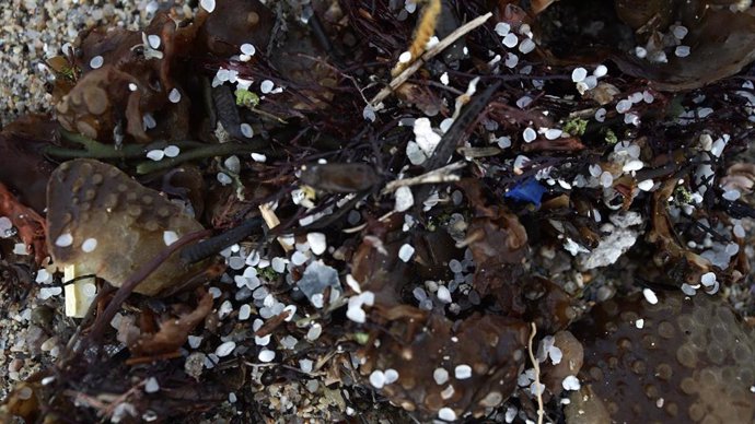 Archivo - Pellets de plástico en la playa de Sabón, a 9 de enero de 2024, en A Coruña, Galicia (España).  Voluntarios se han organizado hoy para limpiar algunas playas de las provincias de A Coruña y Pontevedra a las que ha llegado el vertido de los pelle