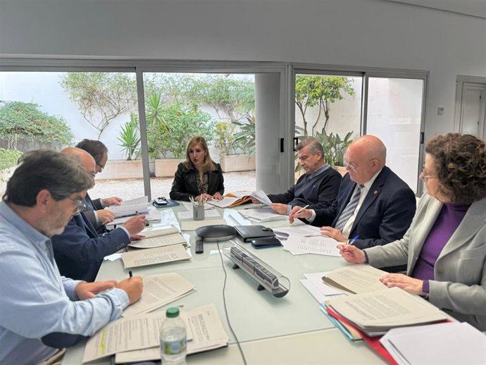 Consejo Administración FGV