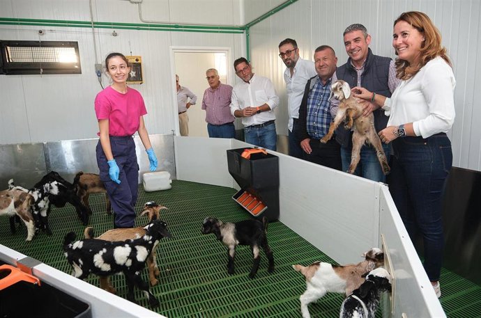 El consejero de Agricultura y Ganadería del Gobierno de Canarias, Narvay Quintero, con una cría de caprino en su visita a Fuerteventura