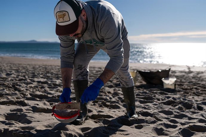 Voluntarios hacen una recogida de pellets de la arena, Galicia, a 7 de enero de 2024, en A Coruña, Galicia (España). Grandes cantidades de pellets de plásticos llevan apareciendo, desde el 13 de diciembre en las Rías Baixas y en la ría de Muros de Noia 
