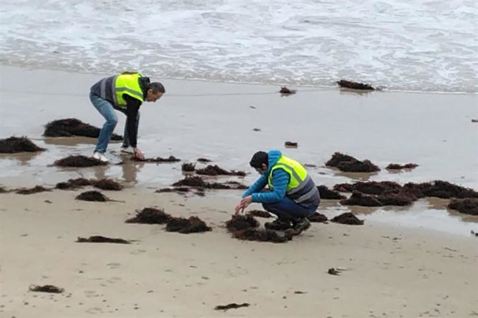 Dos agentes del Servicio de Vigilancia Ambiental de la Consejería de Medio Ambiente inspeccionan una playa cántabra en busca de pellets