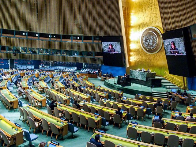 Asamblea General de la ONU