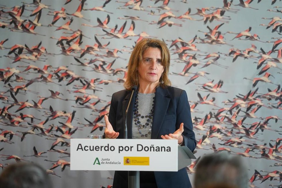 Archivo - La ministra de Transición Ecológica y Reto Demográfico, Teresa Ribera, durante la rueda de prensa tras la firma del acuerdo del protocolo del Parque Nacional de Doñana. 