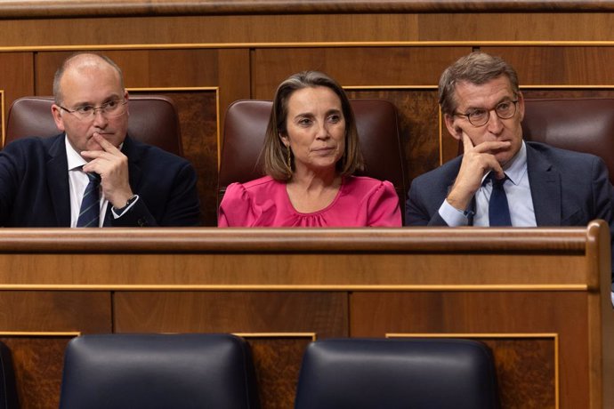 Archivo - (I-D) El portavoz del PP en el Congreso, Miguel Tellado; la secretaria general del PP, Cuca Gamarra, y el presidente del Partido Popular, Alberto Núñez Feijóo, durante una sesión plenaria, en el Congreso de los Diputados, a 5 de diciembre de 202