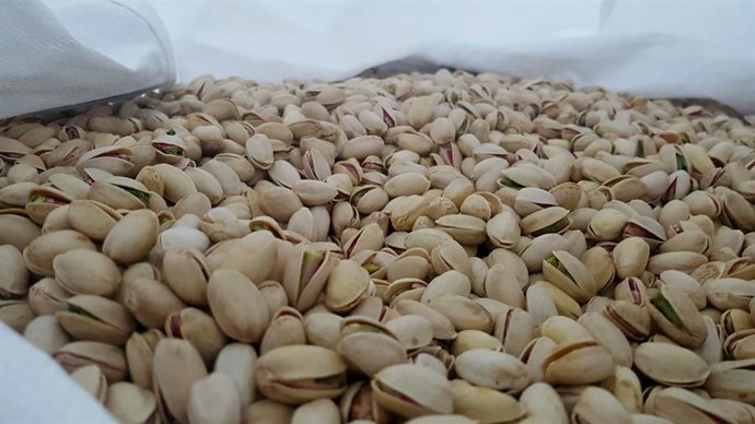 Archivo - Pistachos.