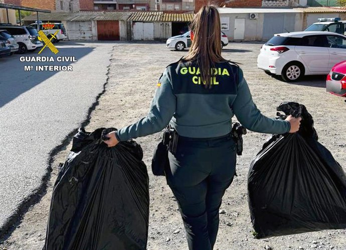 La Guardia Civil Se Incauta De Cerca De 400 Plantas De Marihuana En Una Vivienda Y Detiene A Su Morador