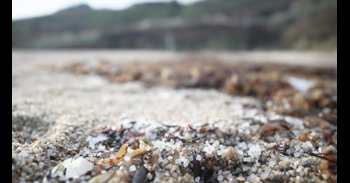 El patrón mayor de Muxía carga contra ecologistas: "Mil sacos en la costa es una cagada de mosca en un campo de fútbol"