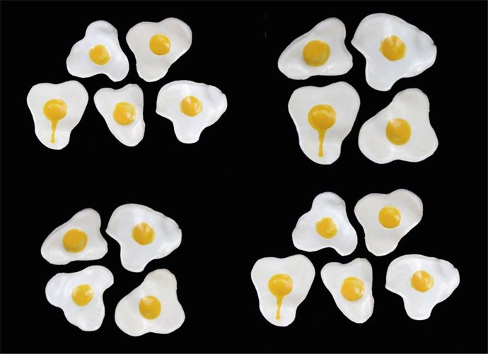 'El Fin. El Origen', De Leticia Muñoz.