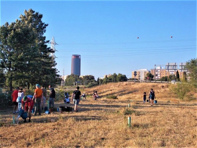 Archivo - Riego participativo en el parque Vega de Triana