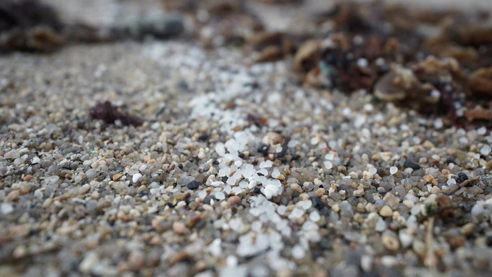 Pellets de plástico en la playa de Sabón, a 9 de enero de 2024, en A Coruña, Galicia (España).  Voluntarios se han organizado hoy para limpiar algunas playas de las provincias de A Coruña y Pontevedra a las que ha llegado el vertido de los pellets de pl