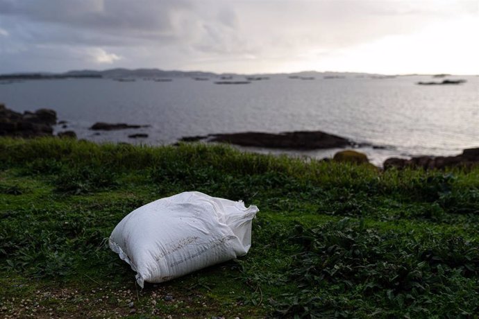 Un agente de la Policía Local y una guarda costas hacen una recogida de pellets de la arena, en la Illa de Arousa, a 4 de enero de 2024, en Pontevedra