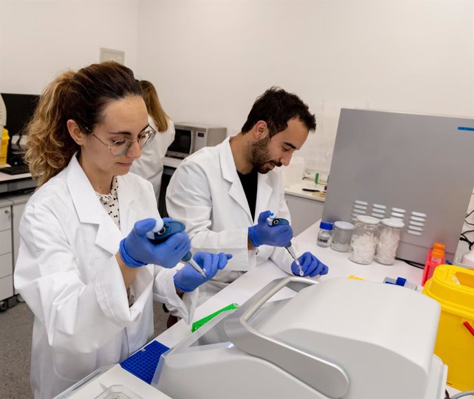 Proyecto Healthythooth II