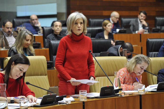 La consejera de Cultura, Victoria Bazaga, interviene en el pleno de la Asamblea de este jueves